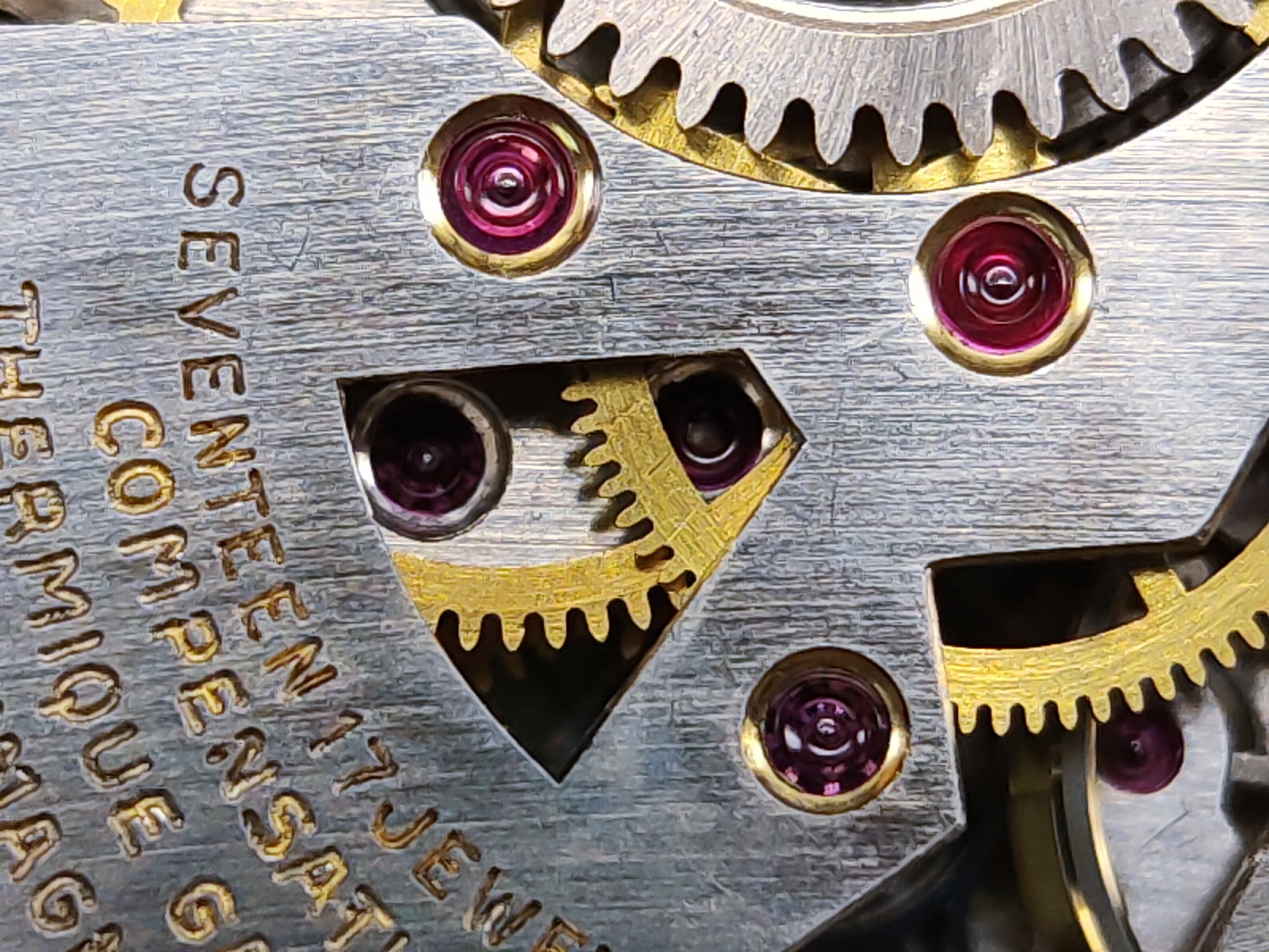 因为一条鱼爱上一个人,因一条鱼丢了一条命