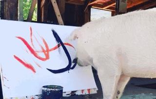 这一次我承认输给了“猪”！