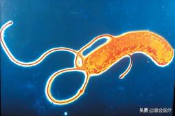 为什么吃冰激凌会引起细菌感染,吃了感染细菌的冰淇淋怎么办