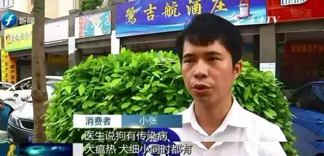 宠物狗买回来过几天病死怎么维权,厦门宠物店