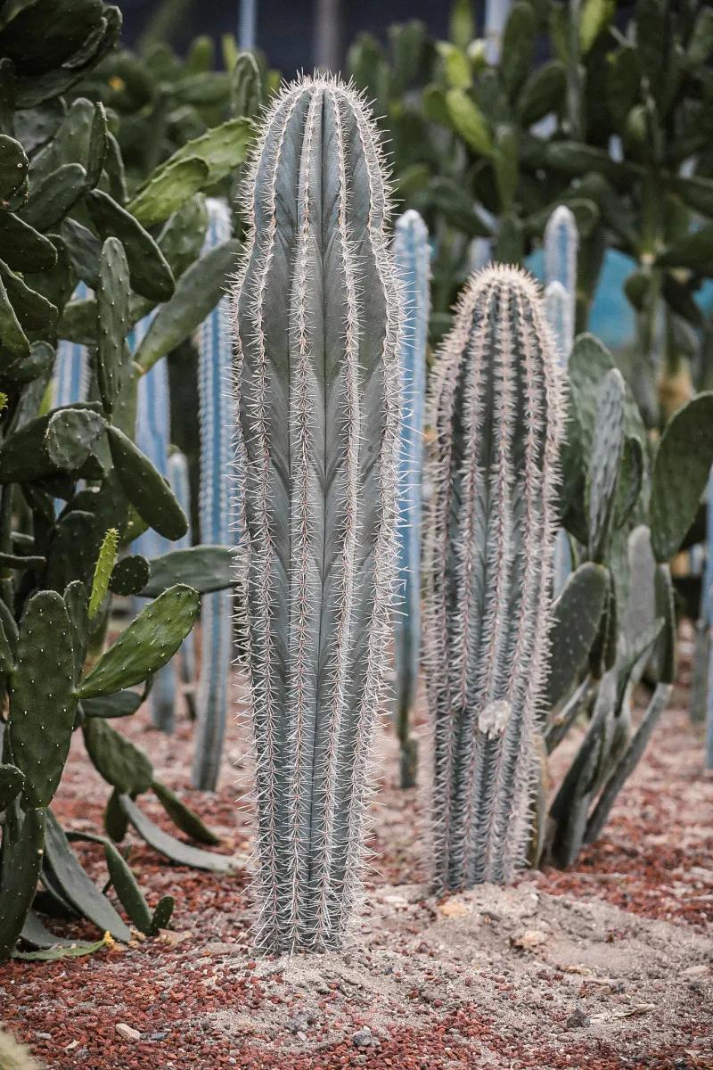 在大山深处幽静绝美的村落,深藏大山中的村落
