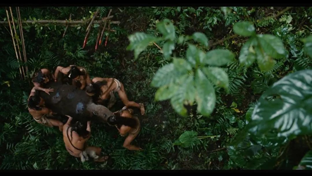 人类历史上最大尺度画面,赤裸裸拍了出来,这电影到底隐喻什么?