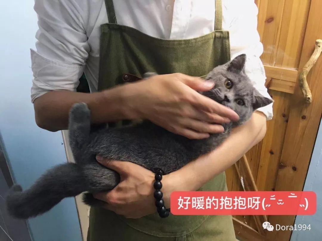 深圳适合放松的咖啡厅,深圳适合一个人打卡拍照的咖啡厅