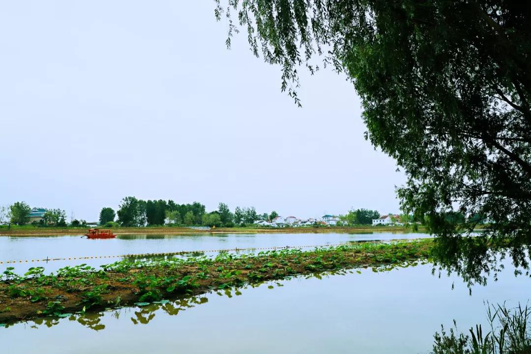 灌云有什么游玩的景点吗,灌云旅游景点推荐一日游