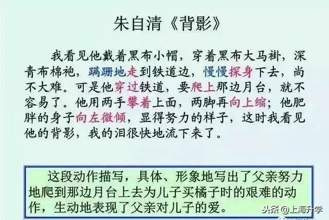 聪明家长如何教孩子,聪明家长怎么教孩子写作业