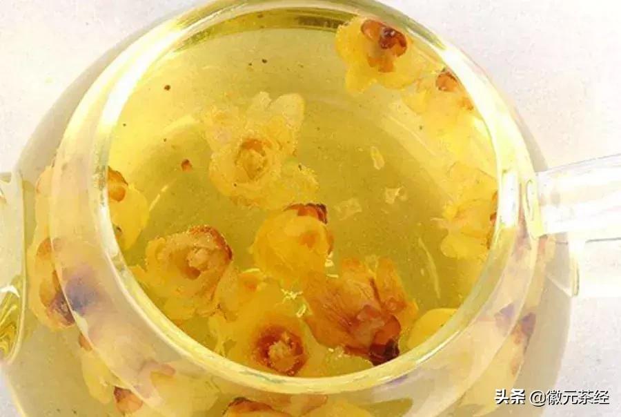 腊梅冬梅红梅三种有何区别,红梅和腊梅的区别详解