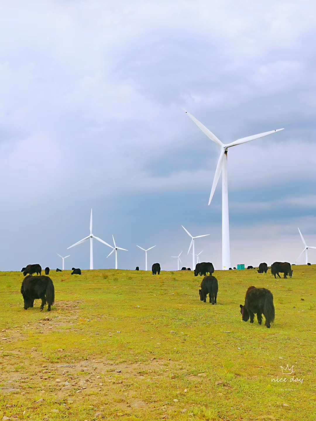 红松洼和乌兰布统哪个好,乌兰布统坝上草原旅游攻略