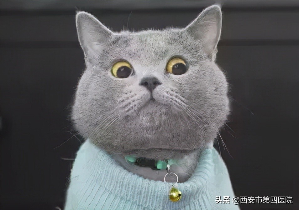 健康中国2030预防大于治疗,健康中国行动新生儿科