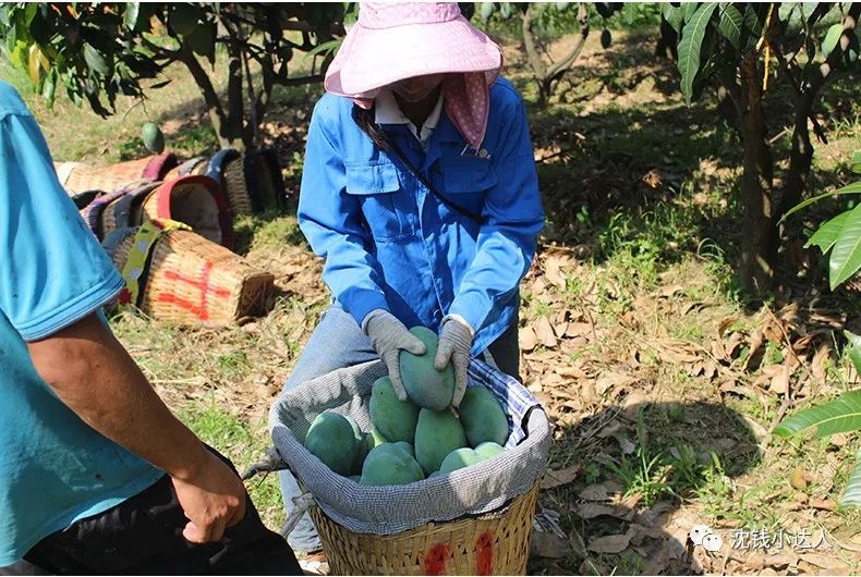 日本Morozoff巧克力礼盒119，卷纸7.9，丸美小棕瓶39/2件，时克