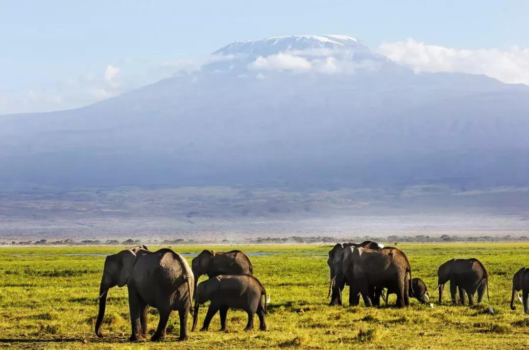中国护照迎来最强时刻手中的护照又又又升值了！
