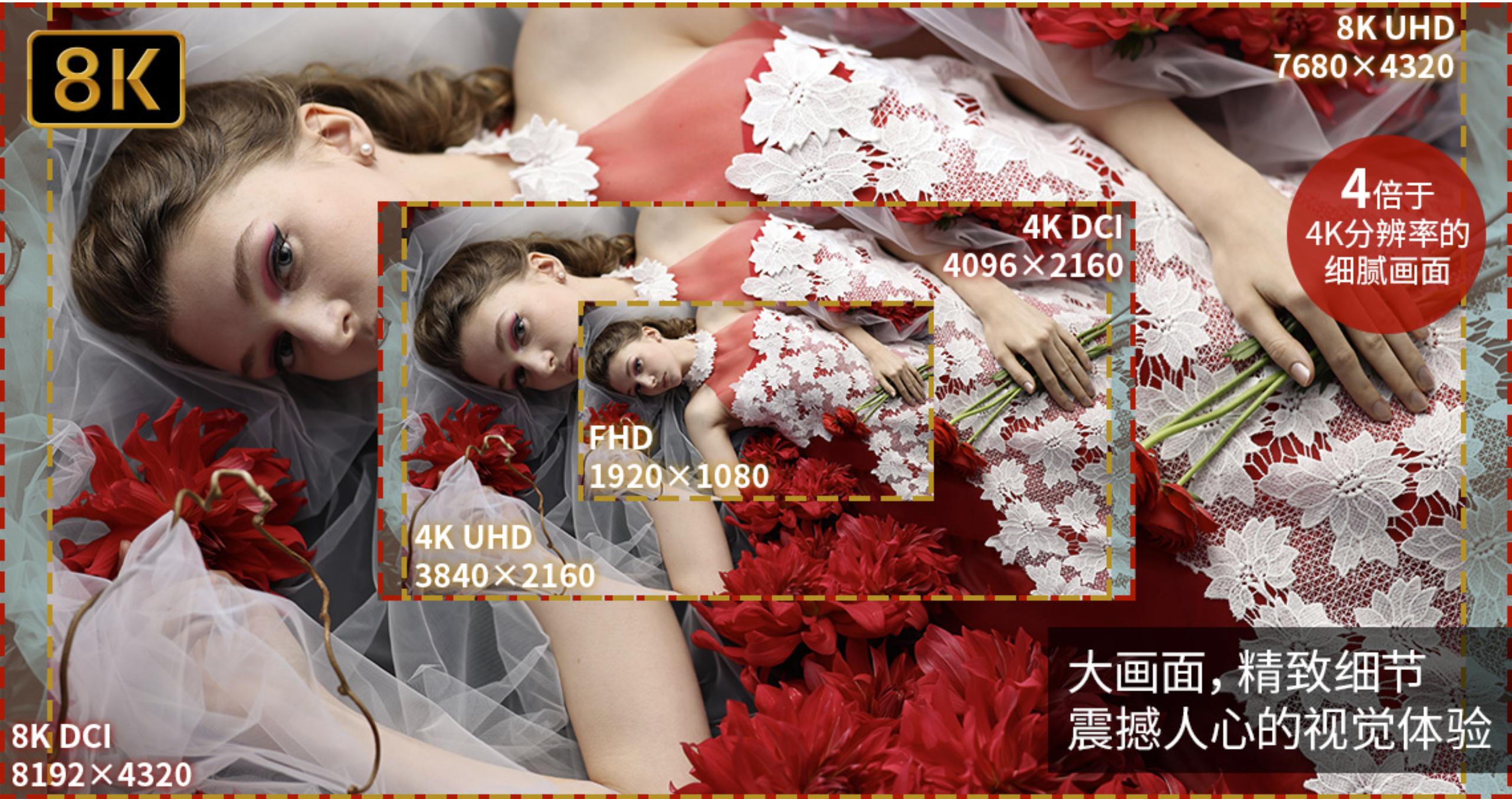 佳能哪款全画幅最值得买,佳能最便宜的全画幅无反相机