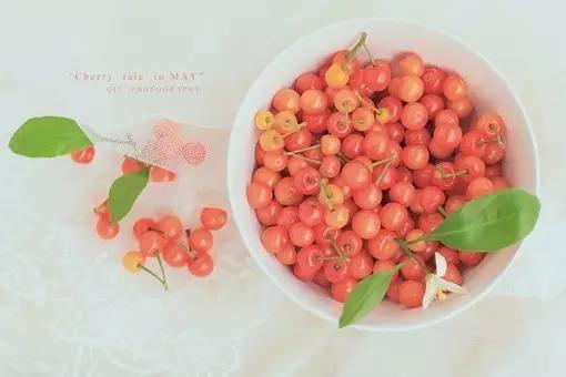 酵素健康讲座视频,酵素健康知识讲堂