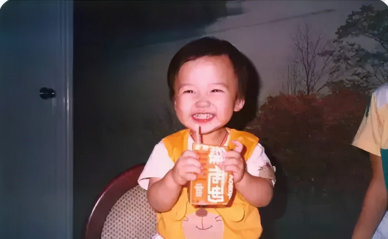 徐子淇嫁的豪门到底有多豪,徐子淇嫁入豪门八年生四子