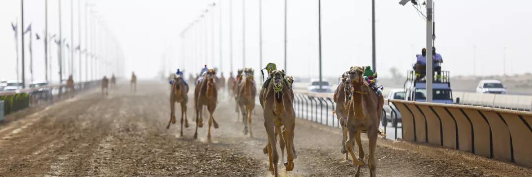 告诉你一个真实的迪拜,迪拜到底值得去吗