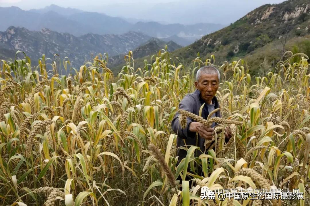 云观展公共文化展,大汖村