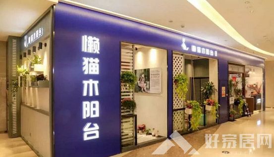 这只“懒猫”能否成为木阳台定制的“独角兽”?