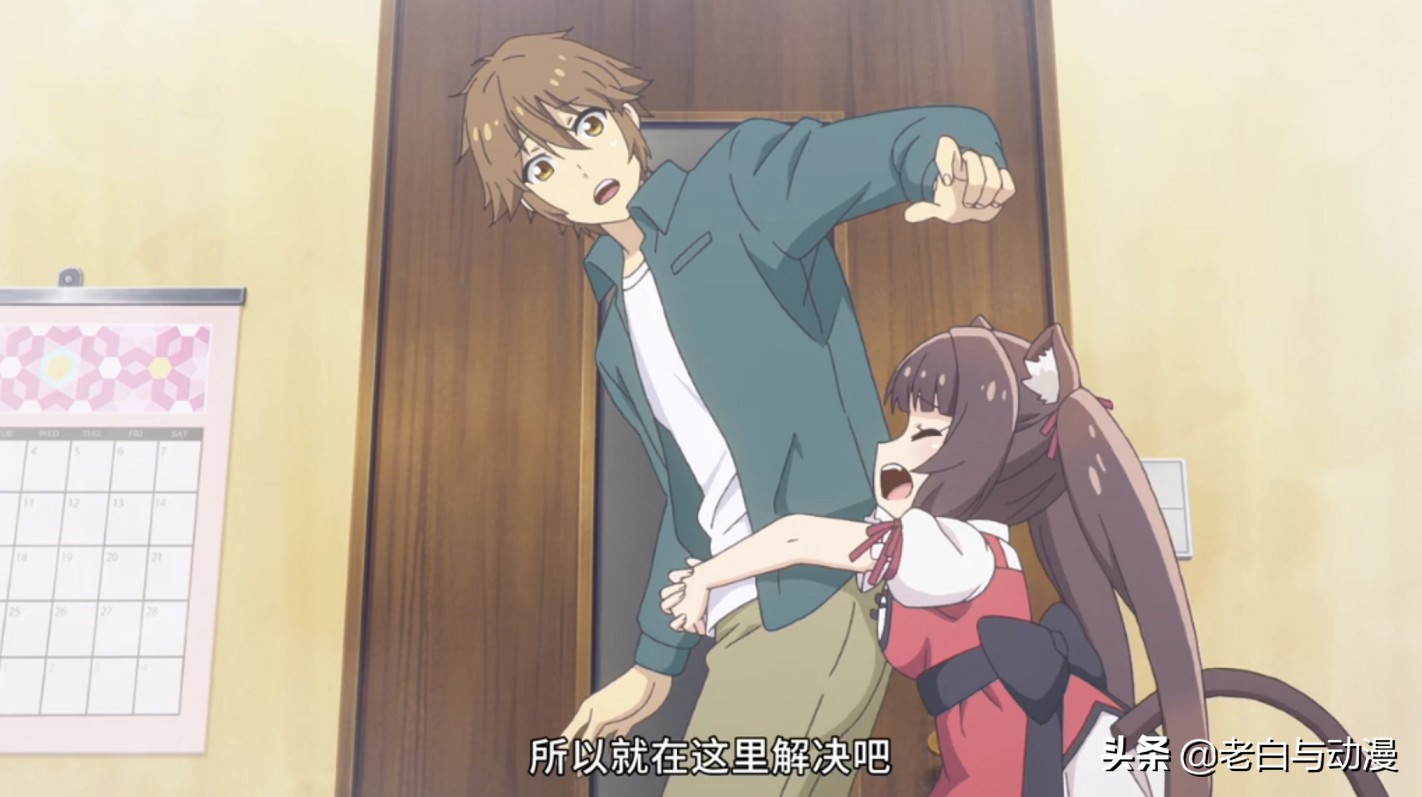 这才是猫奴必看动漫,动漫猫娘超可爱