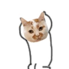 自考学霸笔记,自考清华学霸秘籍