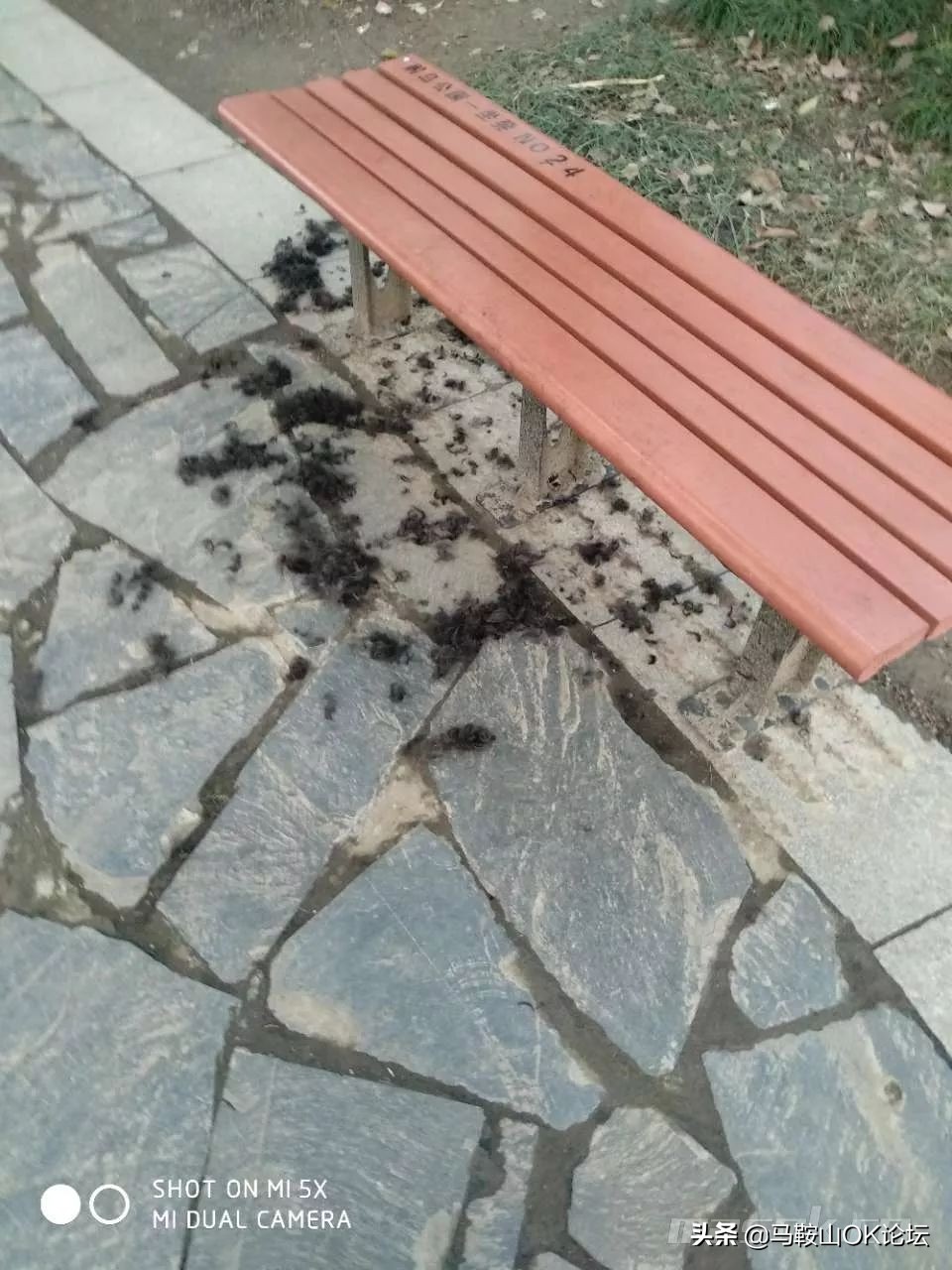 想不通!马鞍山这些‘垃圾人’还可以这么任性?