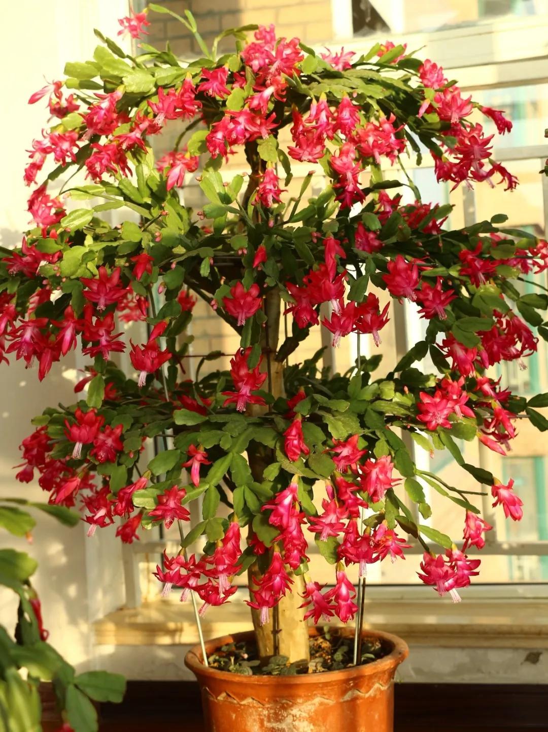 教你如何避开假货买到真品,一张图告诉你怎样分辨假货