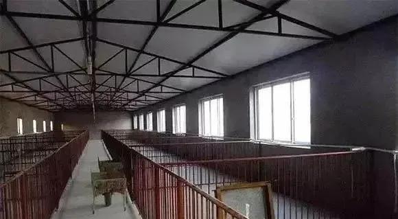 农村怎样才能建一个小型养猪场,农村自家地建养猪场怎么建好