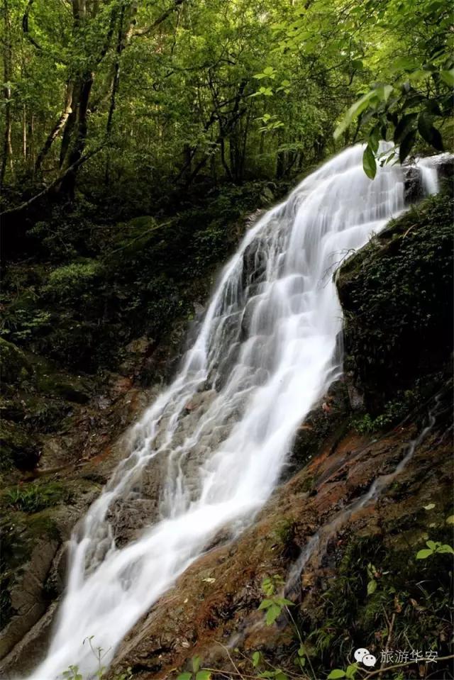 春风十里不如你,我在华安等着您