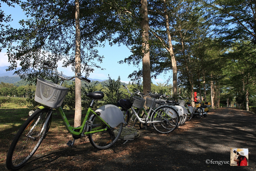 花东纵谷面积,花东纵谷什么意思