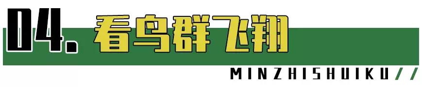 深圳市美美美,深圳最美免费水库