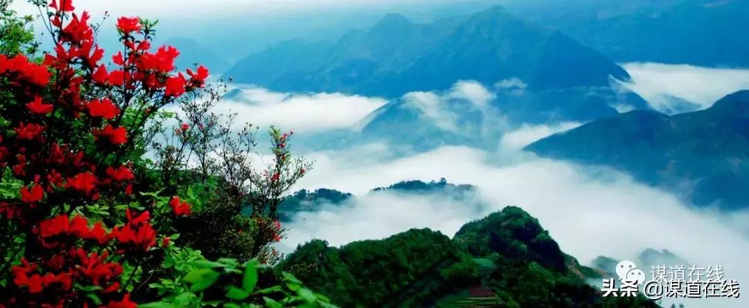 一位候鸟对苏马荡最美小地方的释义,及其未来发展要讲的话