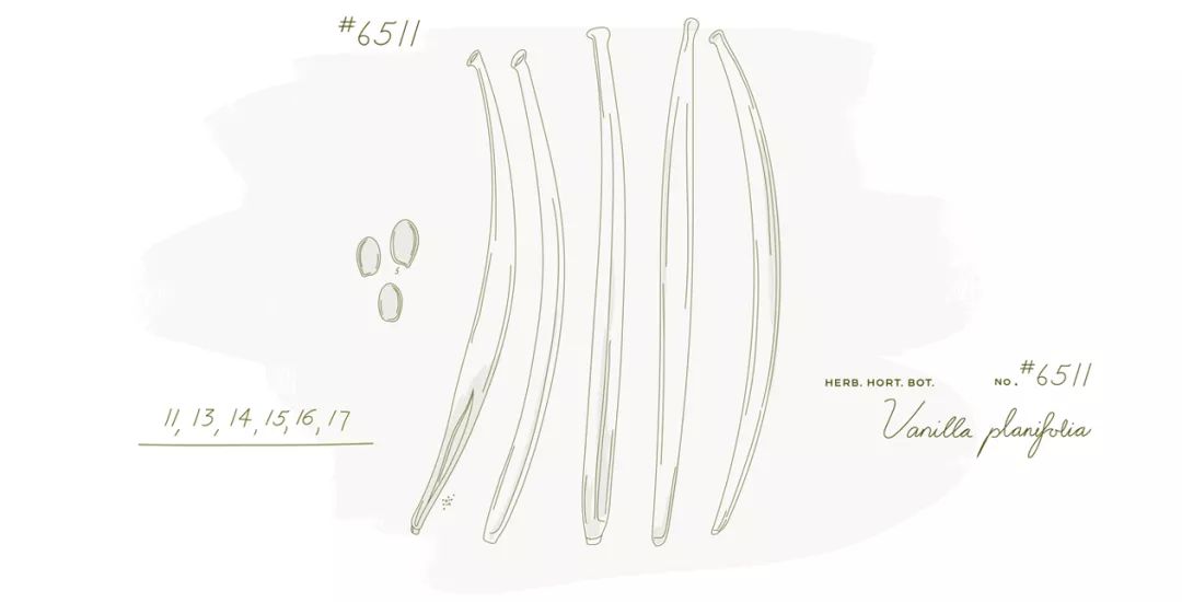 薇诺娜彩妆产品,薇诺娜新包装唇膏