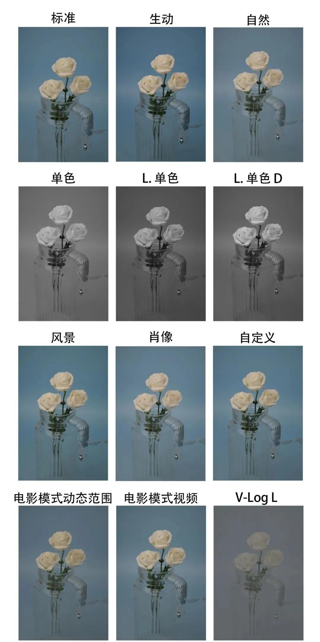 松下g1004k照片,松下g100m43镜头