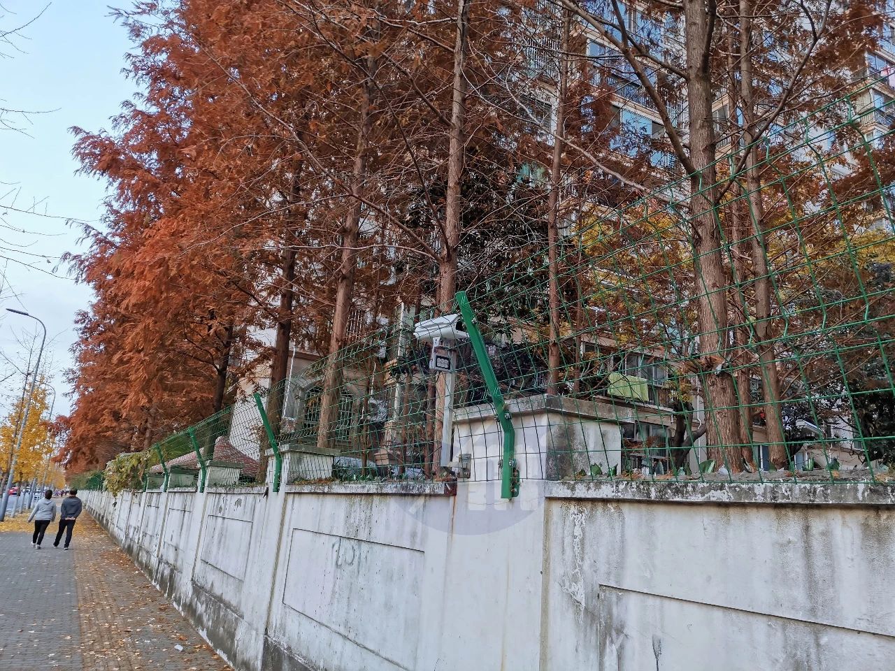 从“盗匪横行”到“上海热门”，这个二手小区做对了什么？