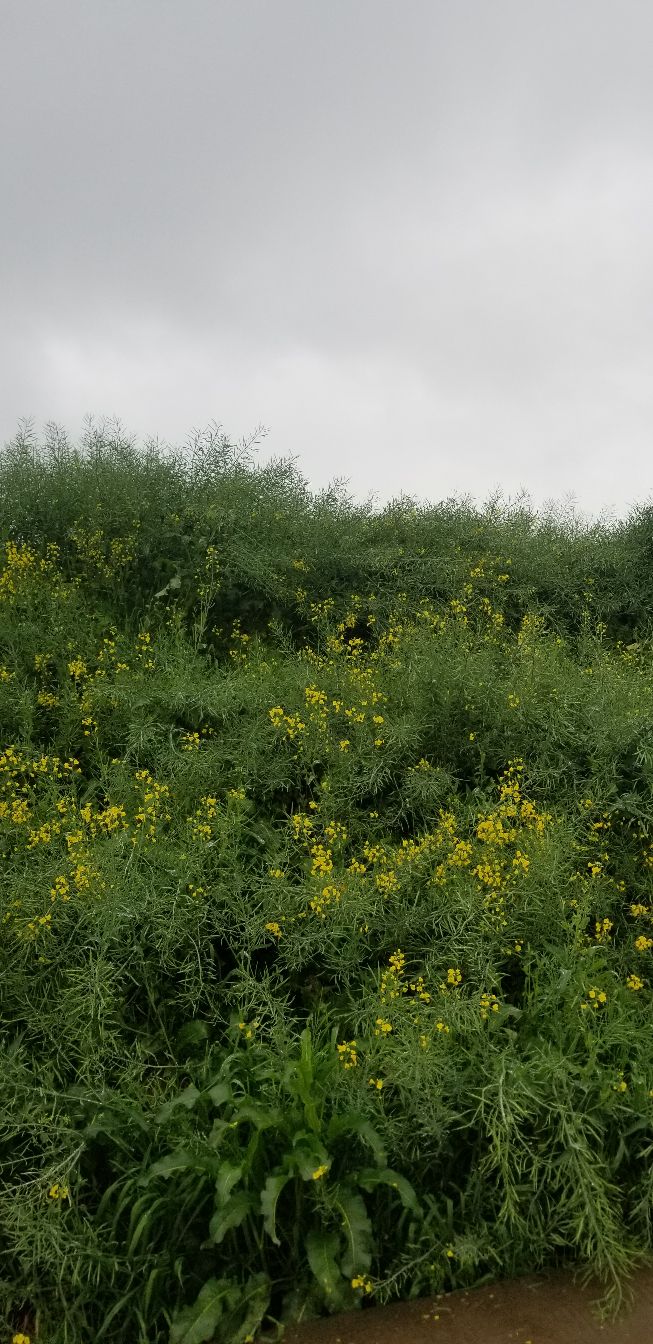 和一个已婚女人分手了,和已婚有小孩的女人在一起怎么办
