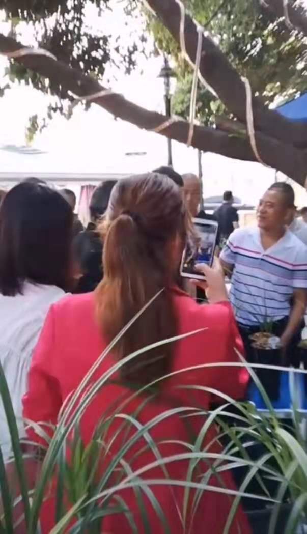 郫都区兰花交易市场在哪里,郫都最大的兰花市场