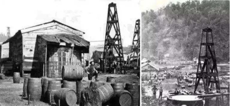 北海布氏鲸视频,广西北海布氏鲸图片