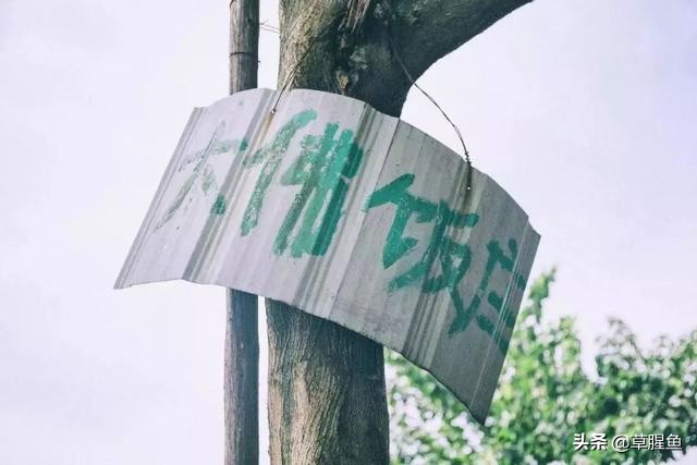 重庆解放碑附近苍蝇馆子前十名,重庆美食苍蝇馆子解放碑附近