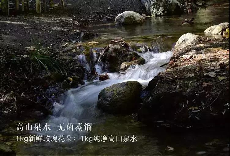 alinderose保加利亚玫瑰纯露,保湿祛皱淡斑抗老