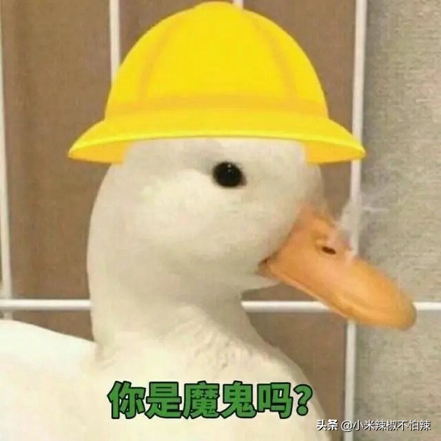 盘点七夕节直男送给那些奇葩礼物,七夕钢铁直男送的奇葩礼物