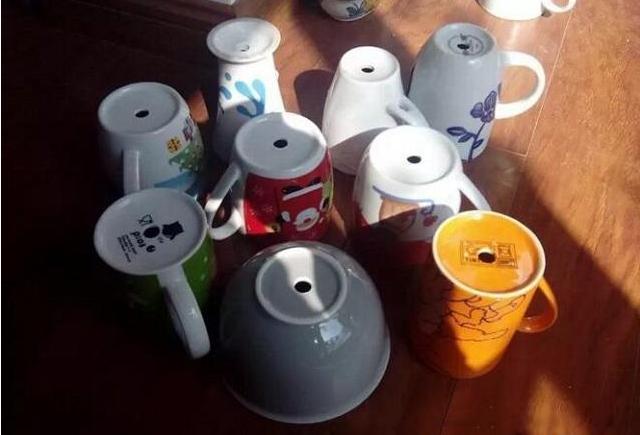 不用的杯子可以养什么花,不用的茶杯可以养什么