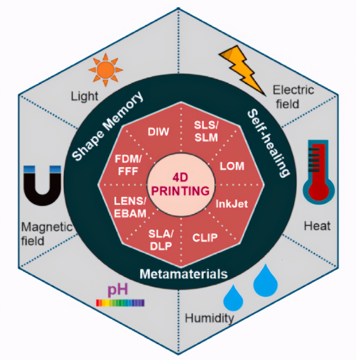 每日一问40问,每日一问第8集