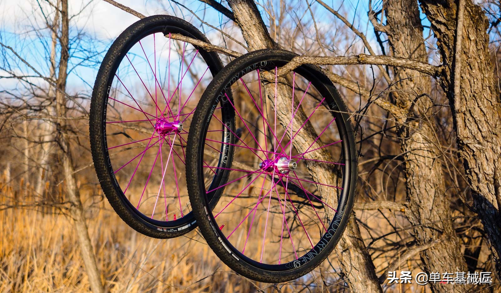 是什么赋予了这对轮组如此僵硬的骑行体验？是骚气的玫红色吗？
