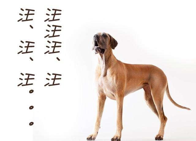 微血管减压术怎样,做微血管减压术权威医生排名