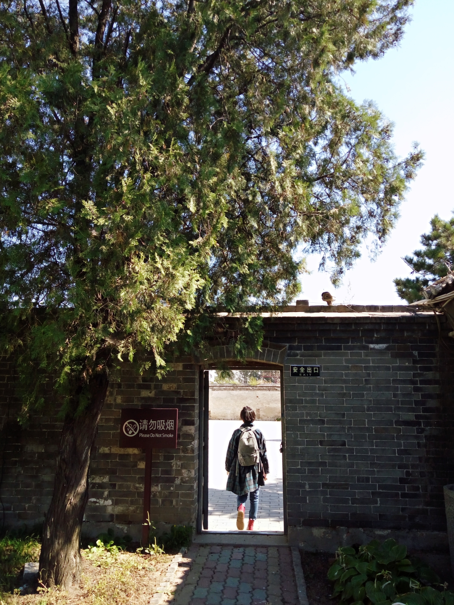 玉田净觉寺景点,唐山净觉寺三大奇观