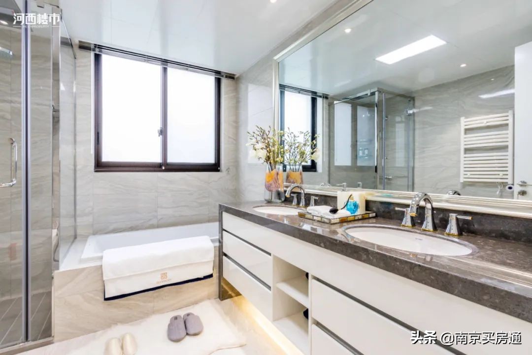 河西中新豪宅全景图,河西中心豪宅内部图片