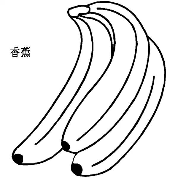 幼儿简笔画入门100个动物简笔画,儿童简笔画大全可爱小动物简笔画