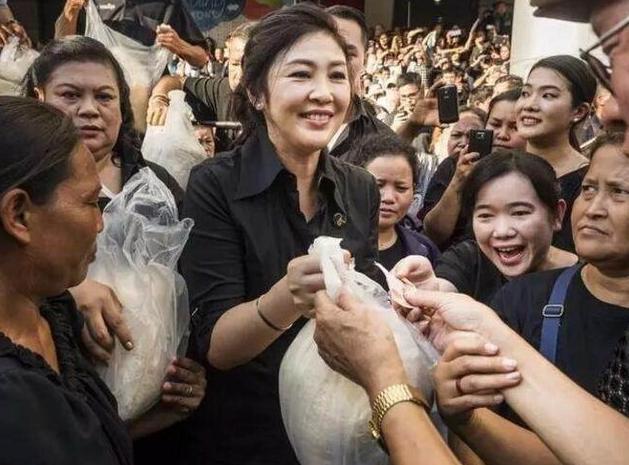 娉板浗杩涘彛涓浗澶х背,娉板浗澶х背鍑哄彛浠锋牸涓婃定