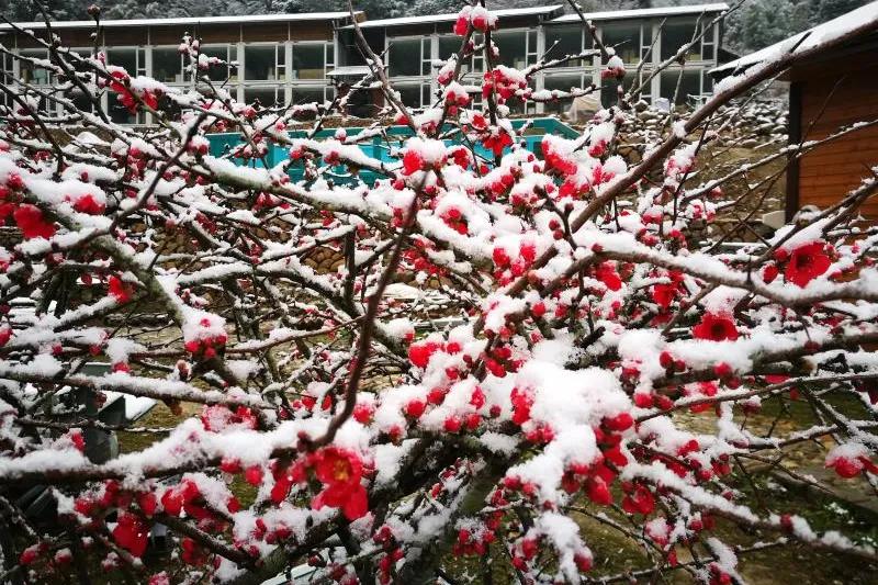 尤溪有闽中明珠之称,尤溪县闽中茶城