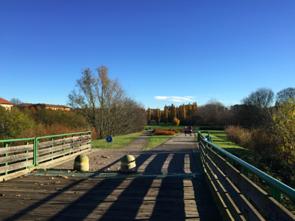 意大利疫情中国留学生,中国女留学生疫情回国意大利