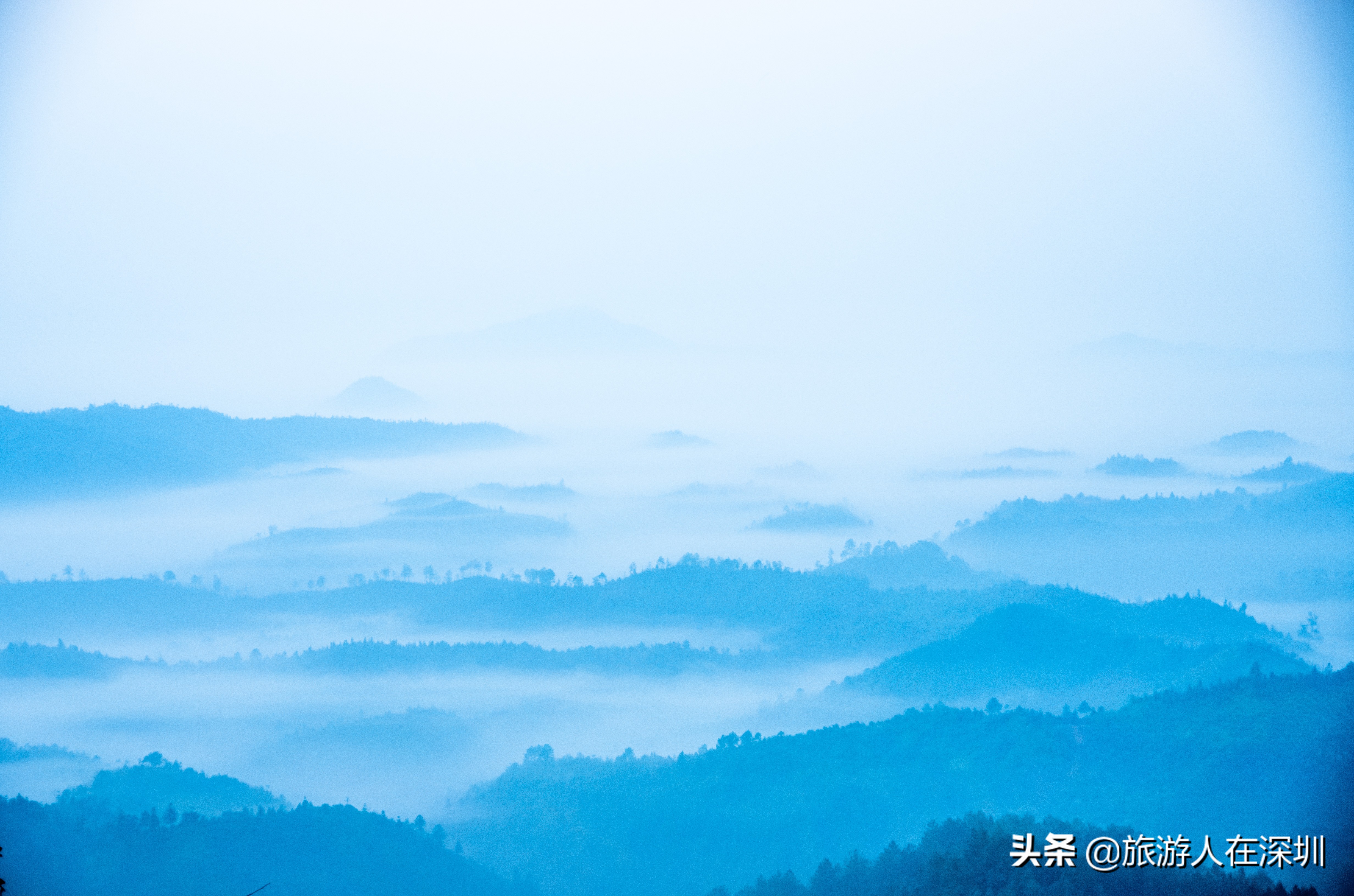 南雄看银杏一日游,去南雄看银杏叶哪里好看点