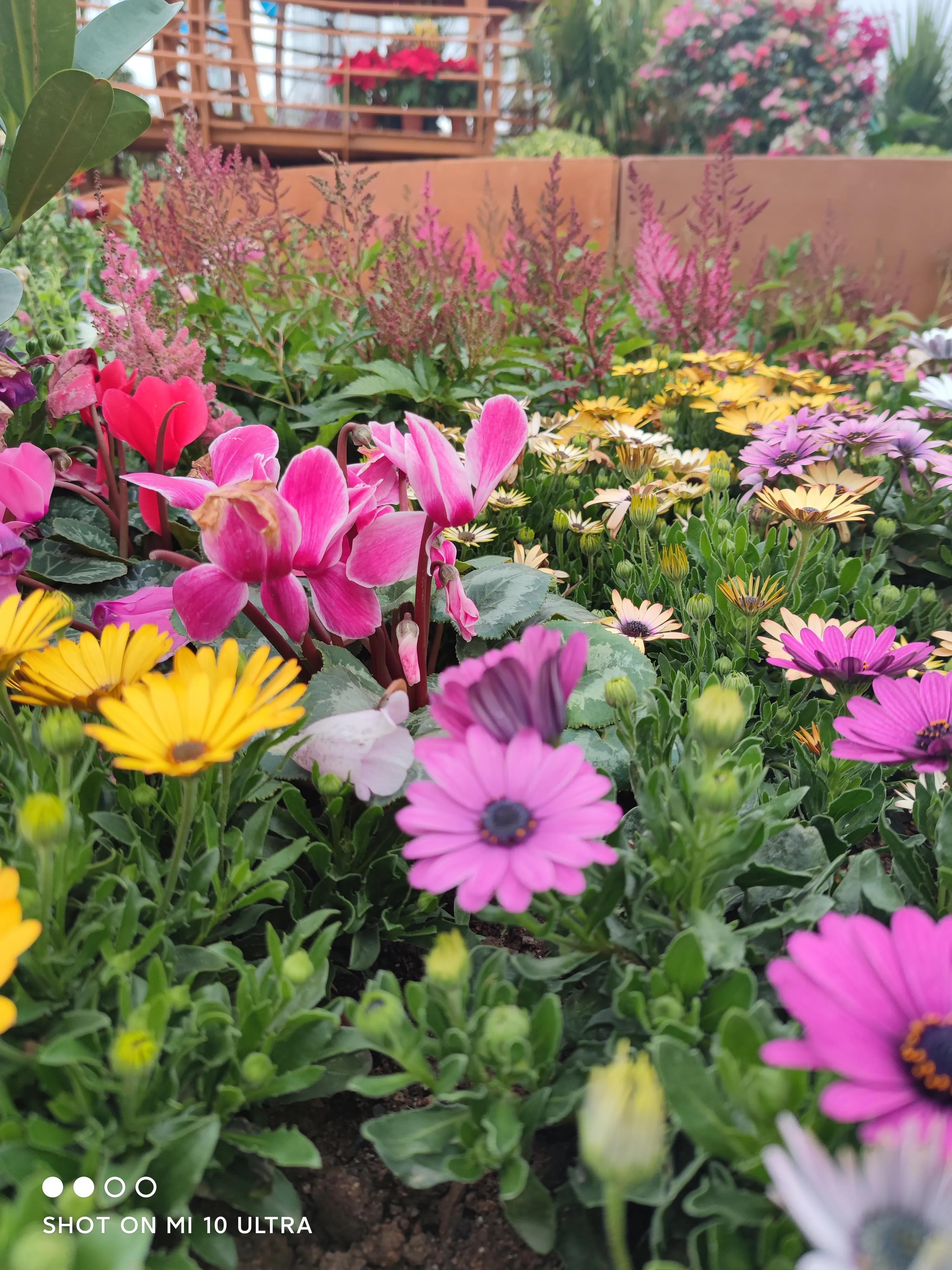 老子和易经智慧开启青年人成功之路